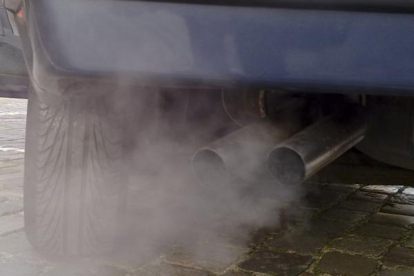 Automobile exhaust gas crop