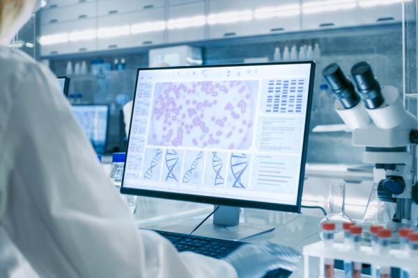 gorodenkoff shutterstock 1073659400