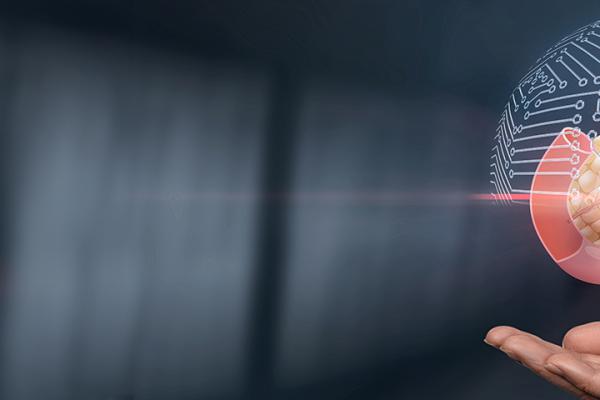 shutterstock 2011304513