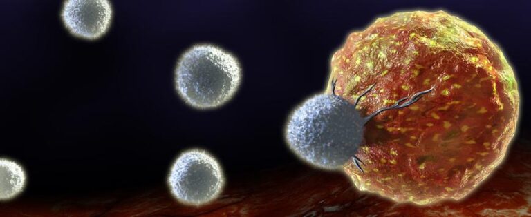 T cells are crucial to the human immune system 768x315