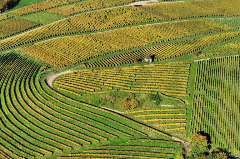 Aerial View Landschaft Markgraflerland11 768x509