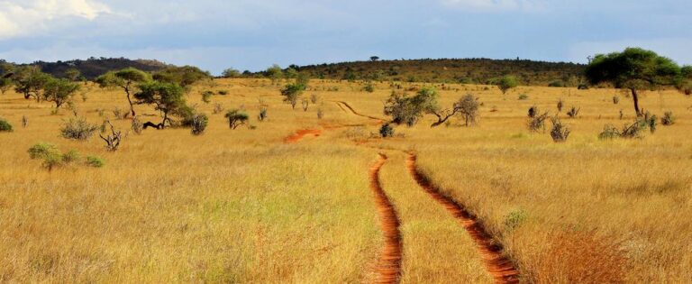 Kenyan20landscape20cropped20 20shutterstock 21689245620 20Maciej20Czekajewski1 768x315