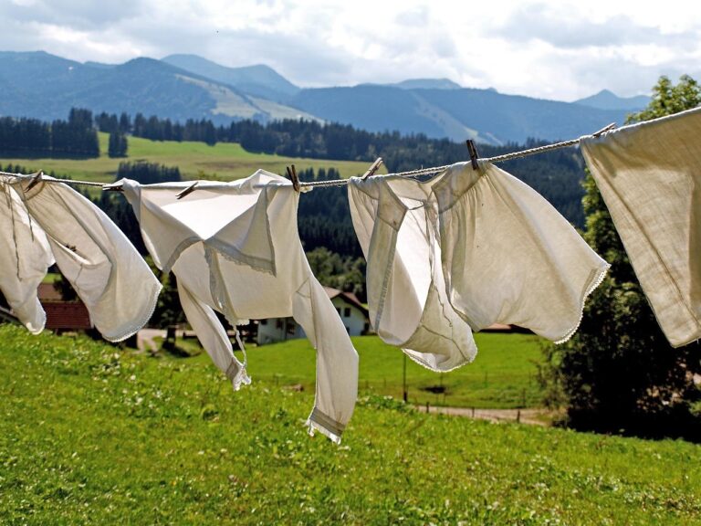laundry 963150 1280 11 768x576