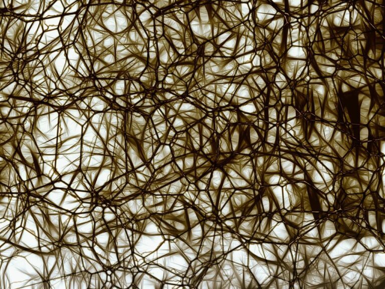 neurons 877574 12801 768x576