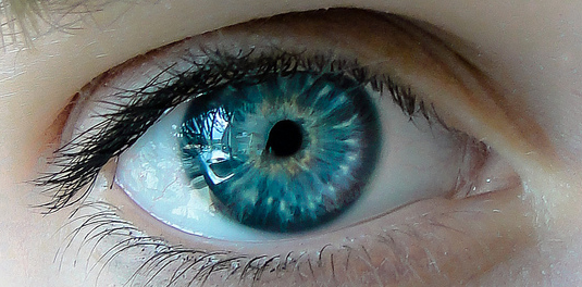 retina 01