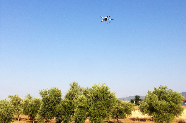 drone20in20sky20crop11