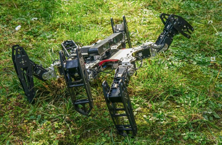 spiederrobo1 768x502