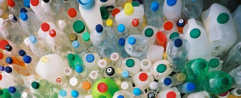 Plastic20bottles1 768x313
