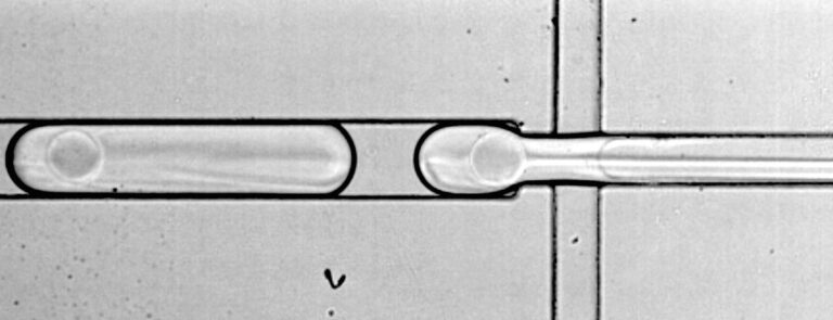 Still20image20of20cell20encapsulation200021 768x295