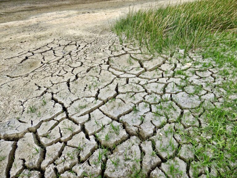 climate change 2241061 19201 768x576