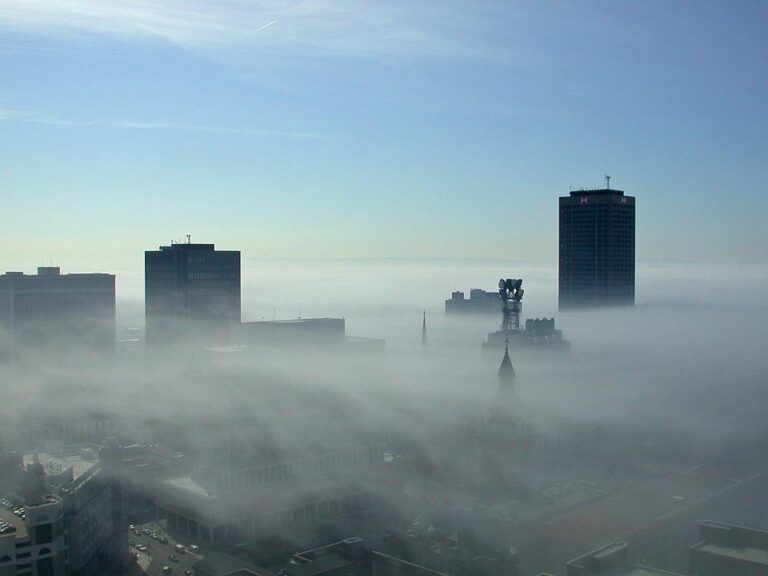 fog 1795 960 7201 768x576