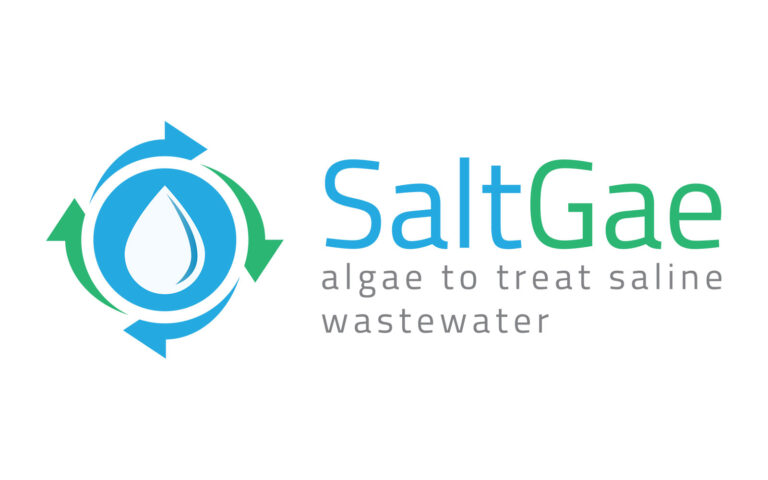 saltgae1 768x480