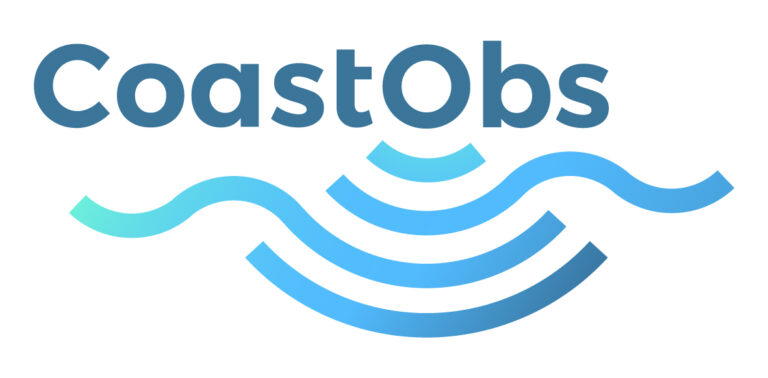 logo1 768x378