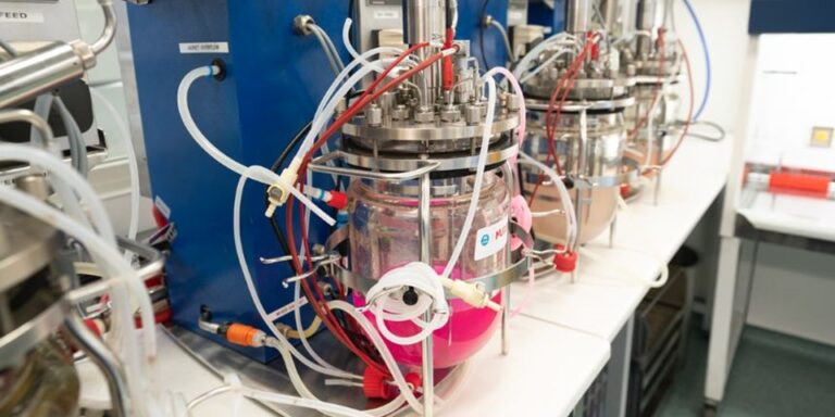the bioplastics innovation hub.tmb 960 banner 768x384