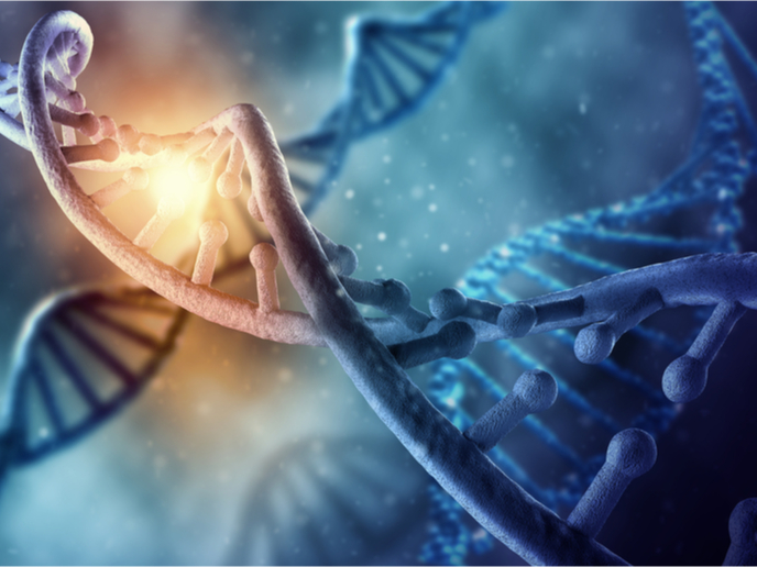 tmp4v 96as5 1